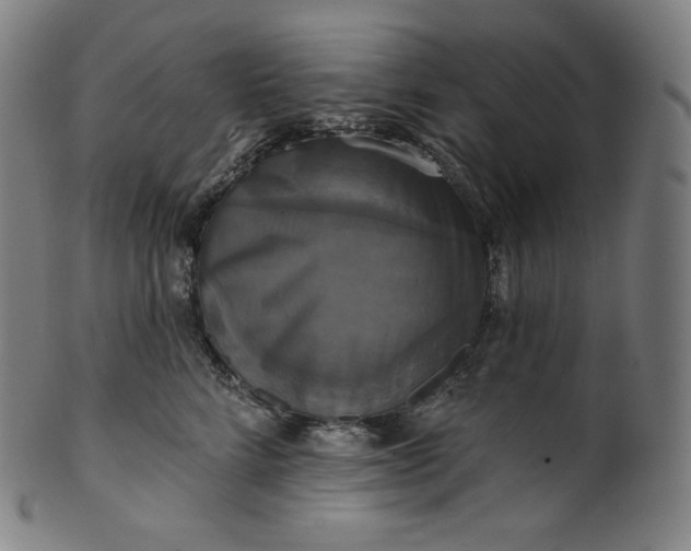 X0000099950712200806061542