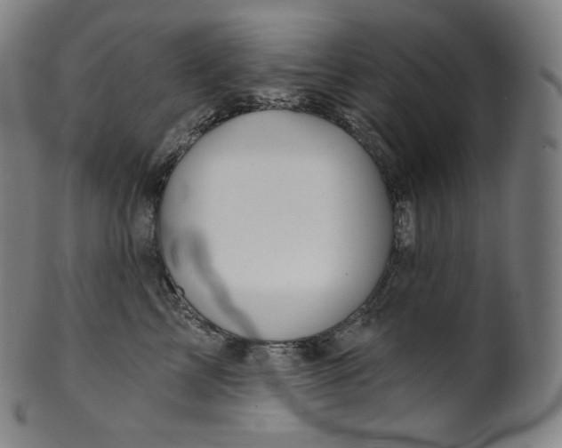 X0000099950713200806061542