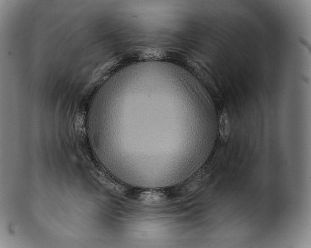 X0000099950714200806061542