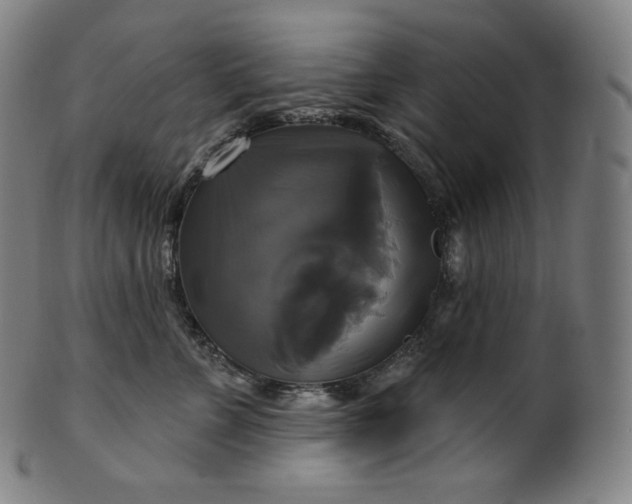 X0000099950715200806061542