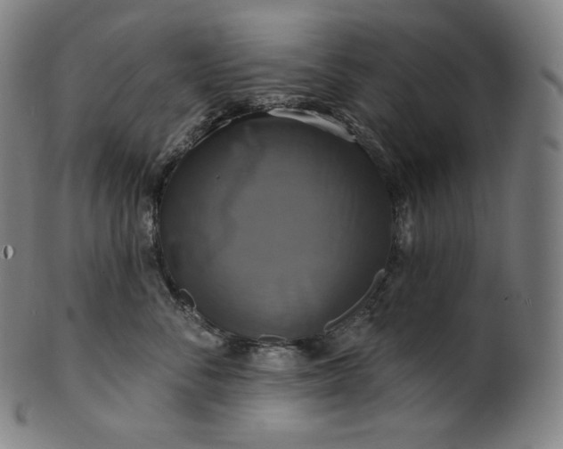 X0000099950716200806061542