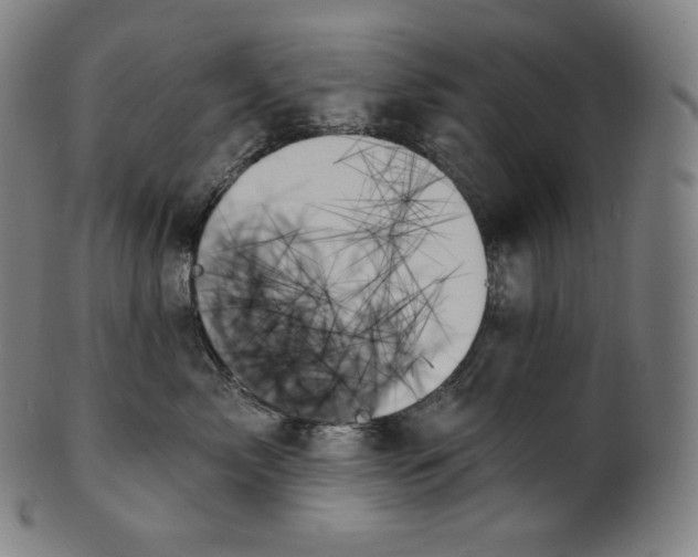 X0000099950717200806061542