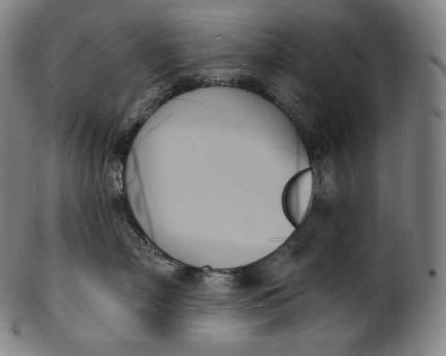 X0000099950718200806061542