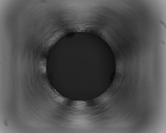 X0000099950719200806061542