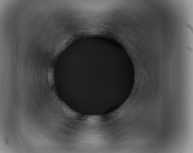 X0000099950720200806061542