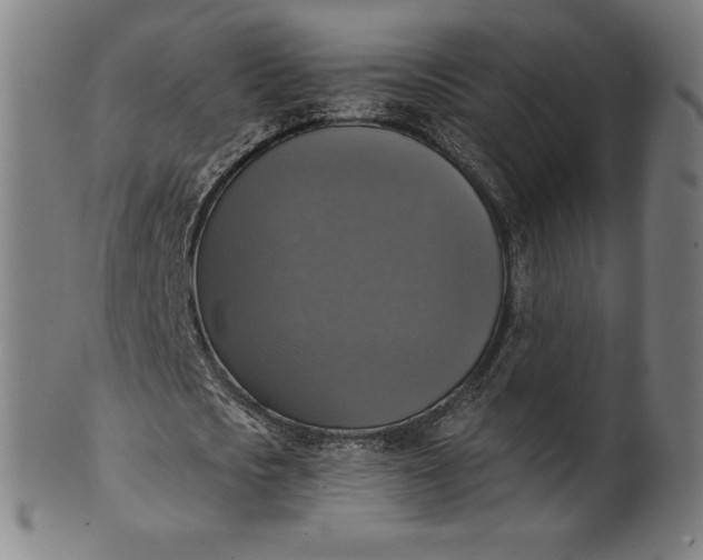 X0000099950721200806061541