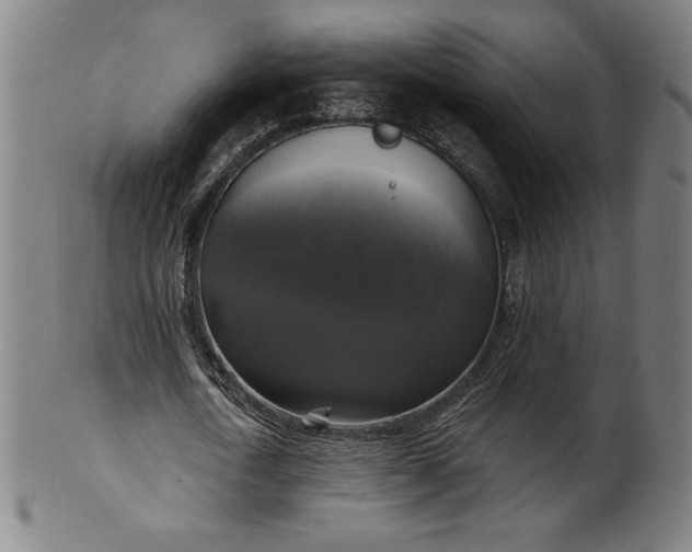 X0000099950722200806061541