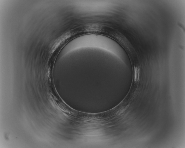 X0000099950723200806061541