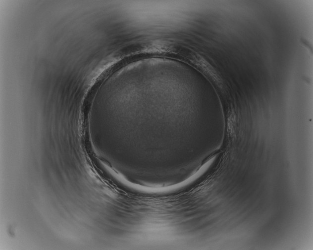 X0000099950724200806061541