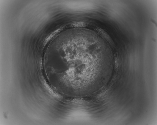 X0000099950725200806061541