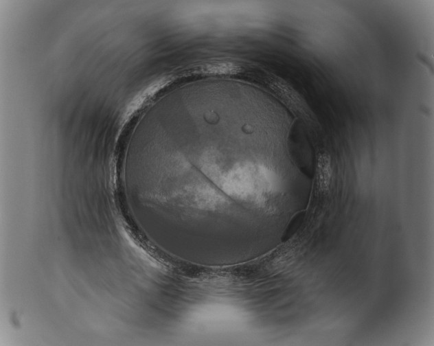 X0000099950726200806061541