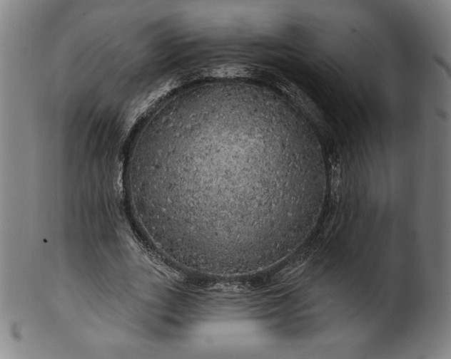 X0000099950727200806061541