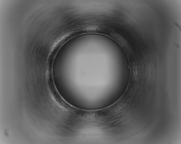 X0000099950728200806061541