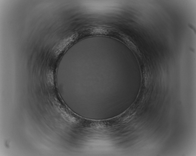 X0000099950729200806061541