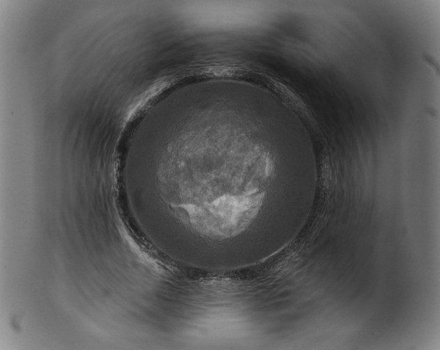 X0000099950730200806061541