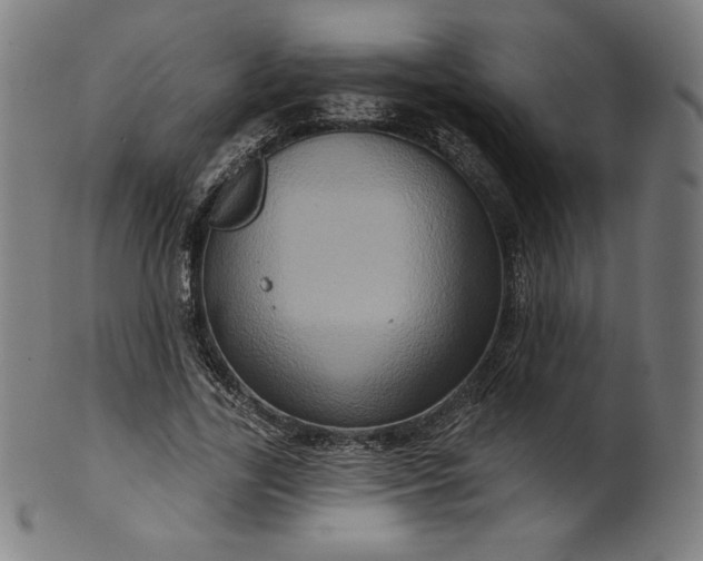 X0000099950731200806061541