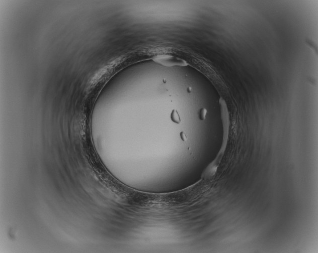 X0000099950732200806061541