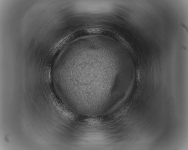 X0000099950733200806061541