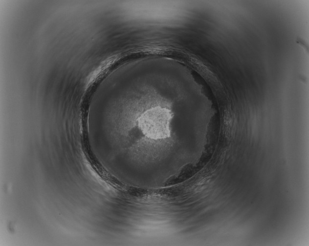 X0000099950734200806061541