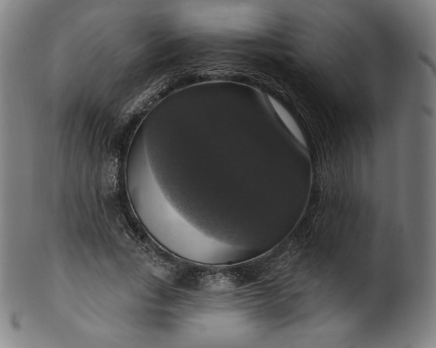 X0000099950735200806061541