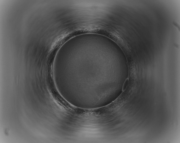 X0000099950736200806061541