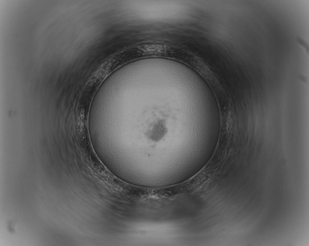 X0000099950737200806061541