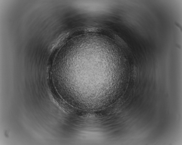 X0000099950738200806061541