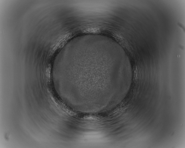 X0000099950739200806061541