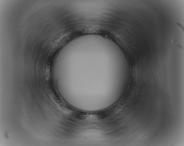 X0000099950741200806061541