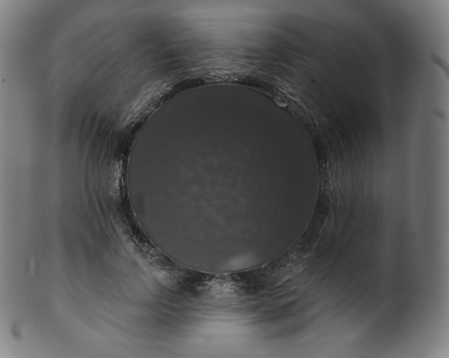 X0000099950742200806061541