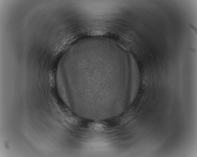 X0000099950743200806061542