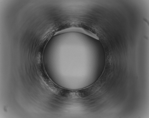 X0000099950744200806061542