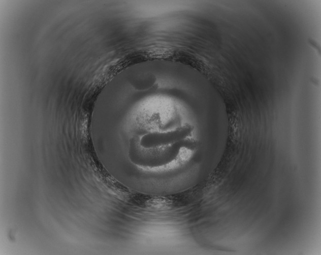 X0000099950745200806061542