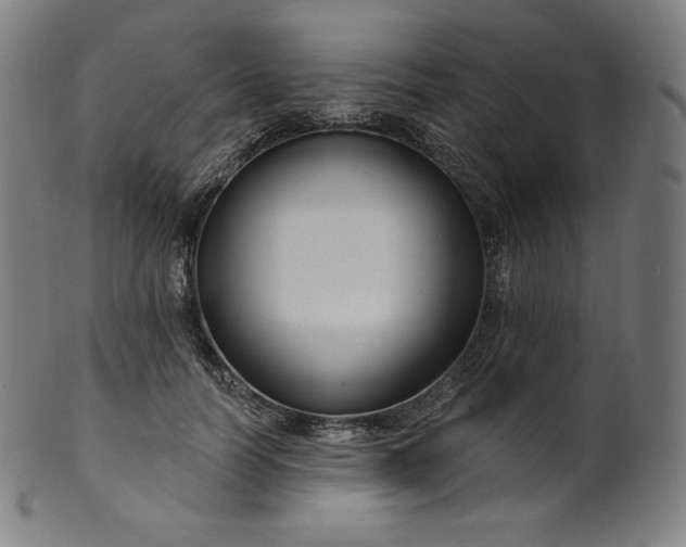 X0000099950746200806061542