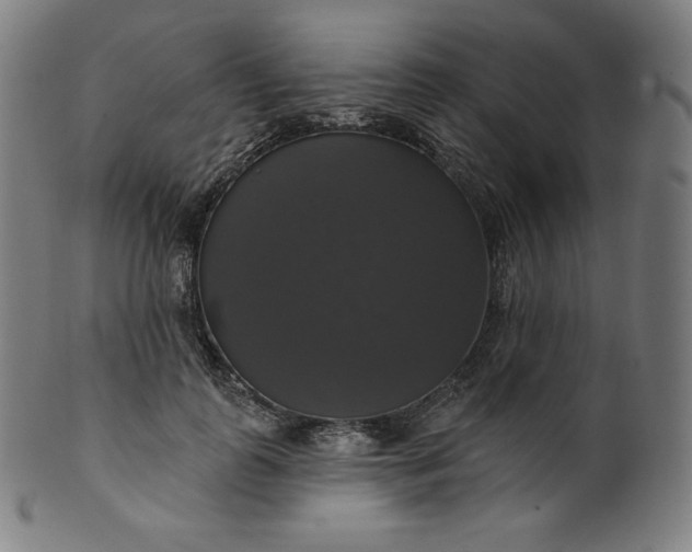 X0000099950747200806061542