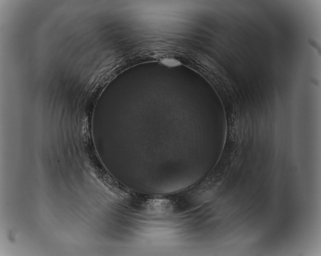 X0000099950748200806061542