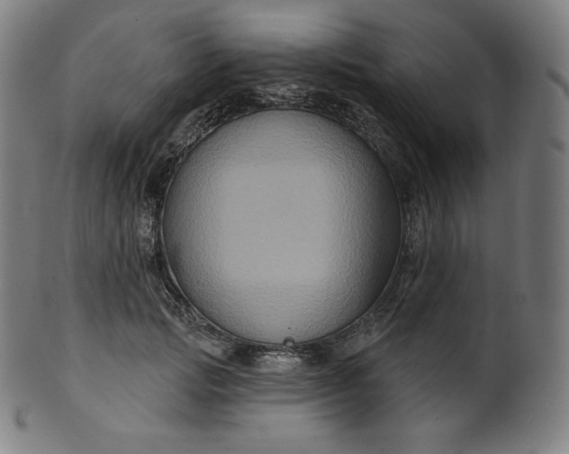 X0000099950749200806061542