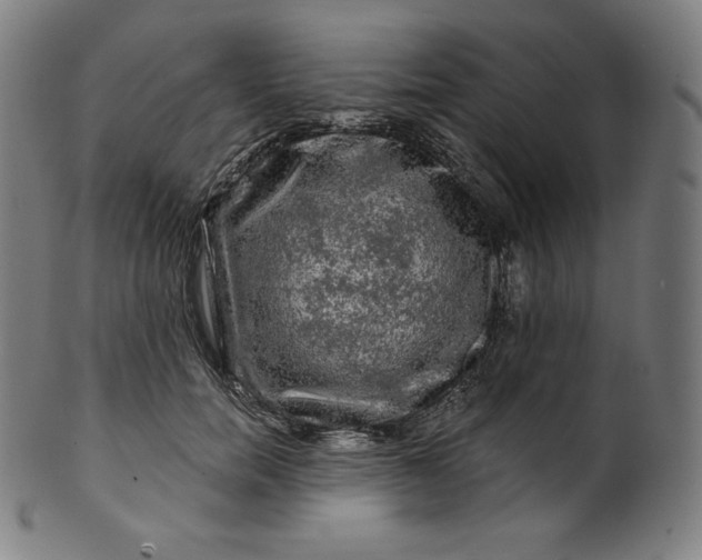 X0000099950750200806061542