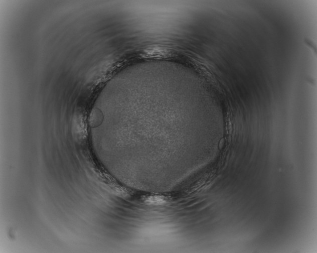 X0000099950751200806061542