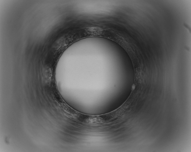 X0000099950752200806061542