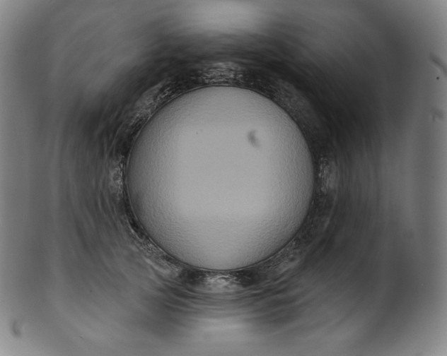 X0000099950753200806061542