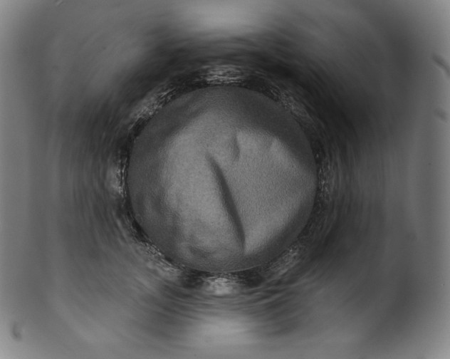 X0000099950755200806061542