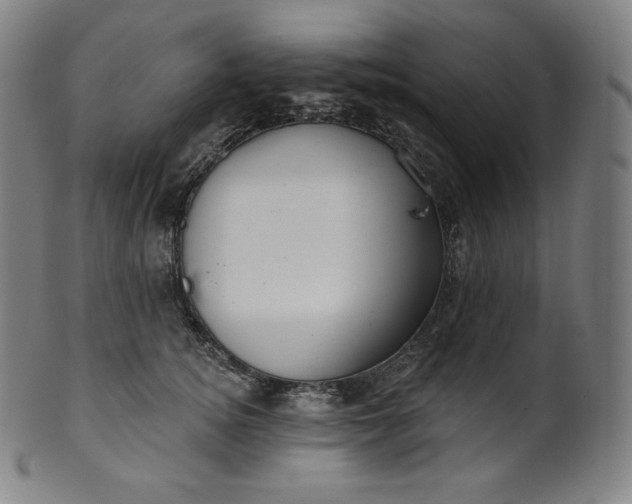 X0000099950756200806061542