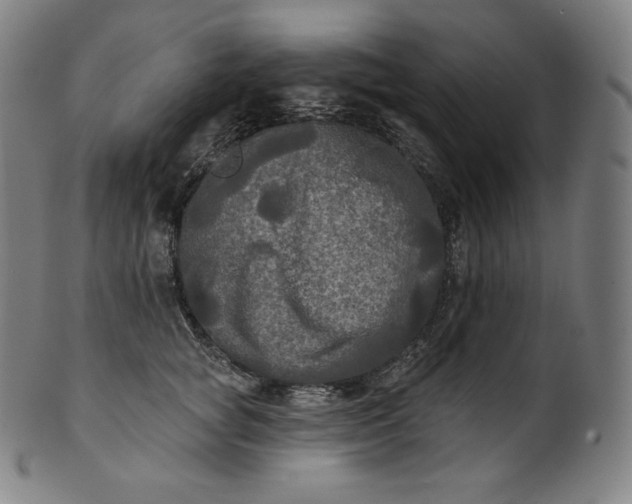 X0000099950757200806061542