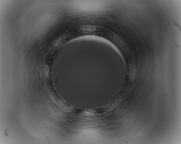 X0000099950758200806061542