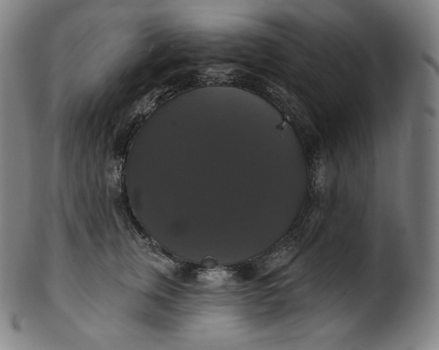 X0000099950759200806061542