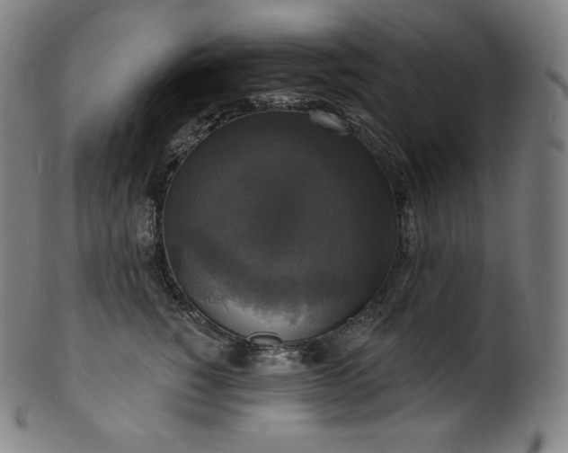 X0000099950760200806061542