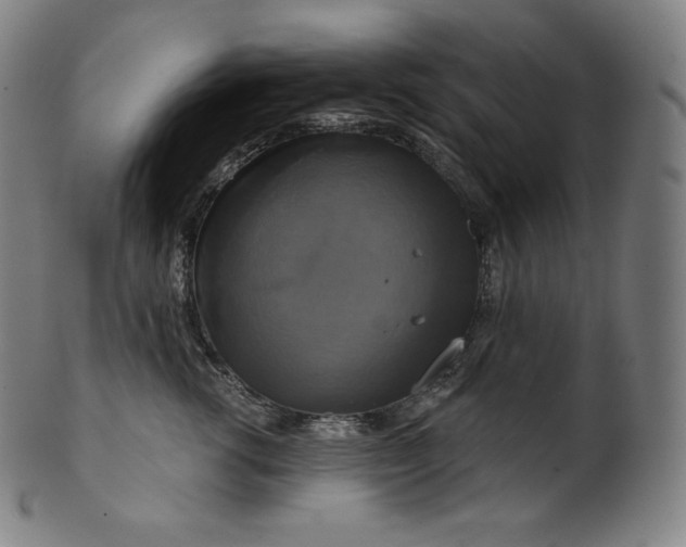 X0000099950762200806061542