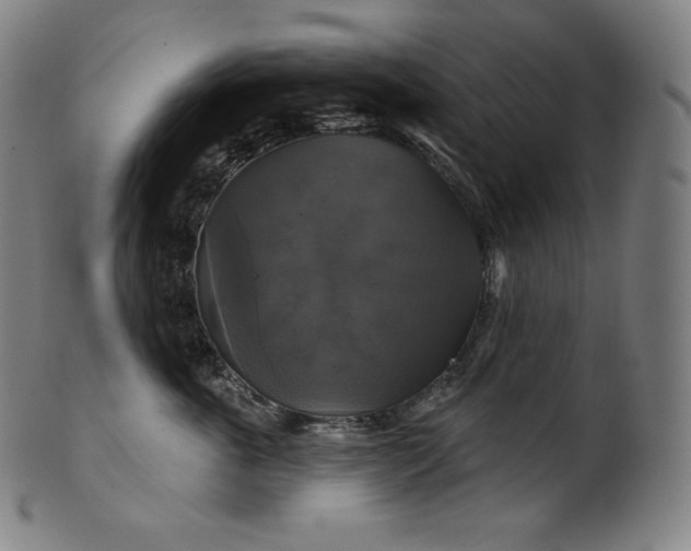 X0000099950763200806061542