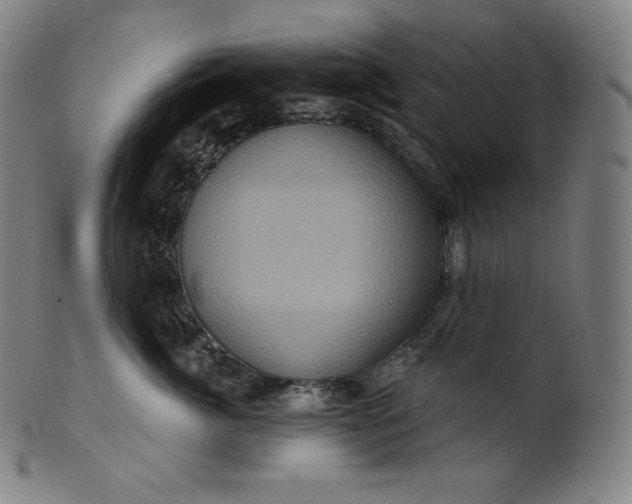 X0000099950764200806061542